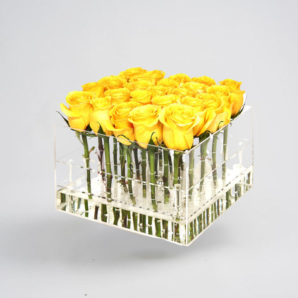Yellow Boxed Roses