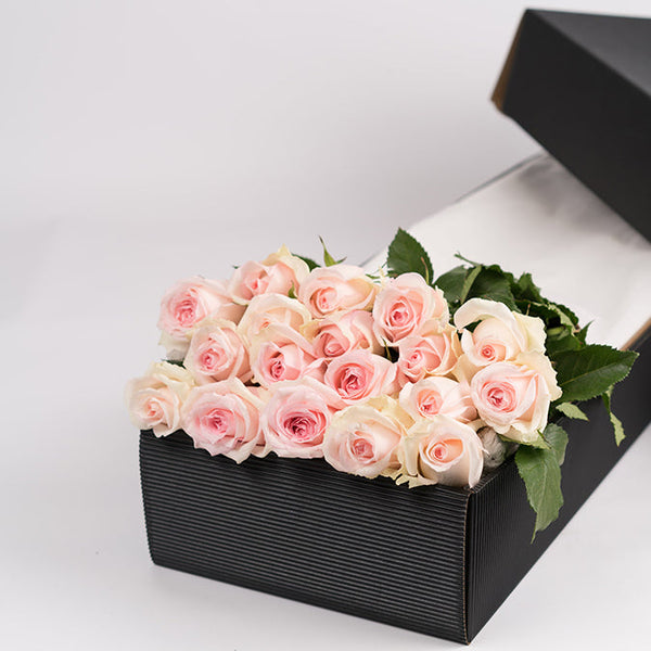 Soft Pink Rose Gift Box